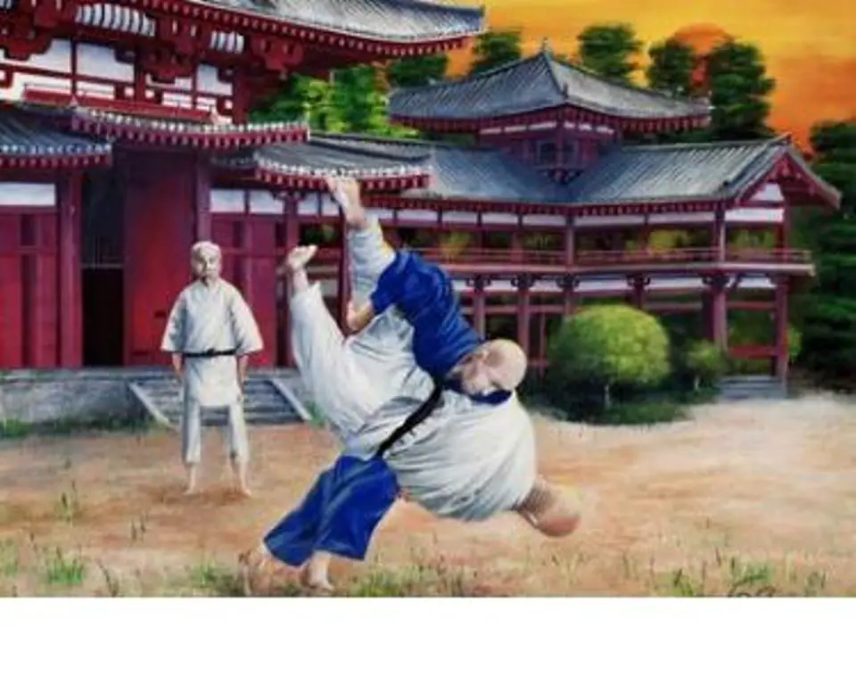 judo artwork